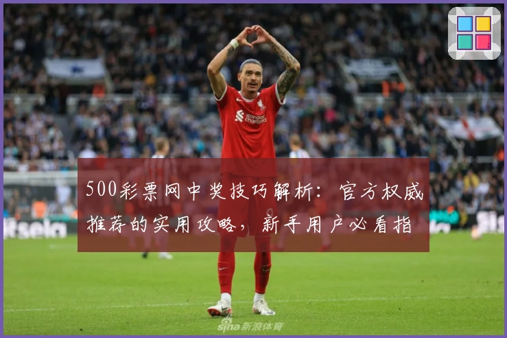 500彩票网中奖技巧解析：官方权威推荐的实用攻略，新手用户必看指南
