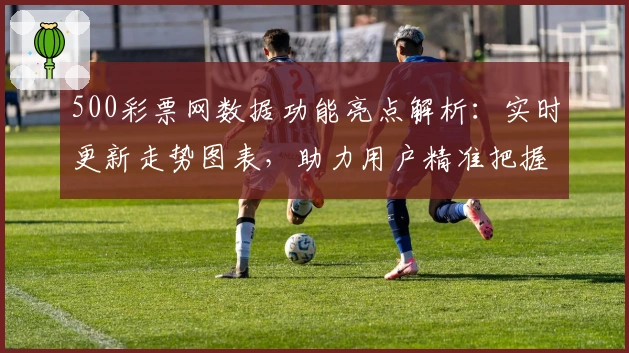 500彩票网数据功能亮点解析：实时更新走势图表，助力用户精准把握数据规律