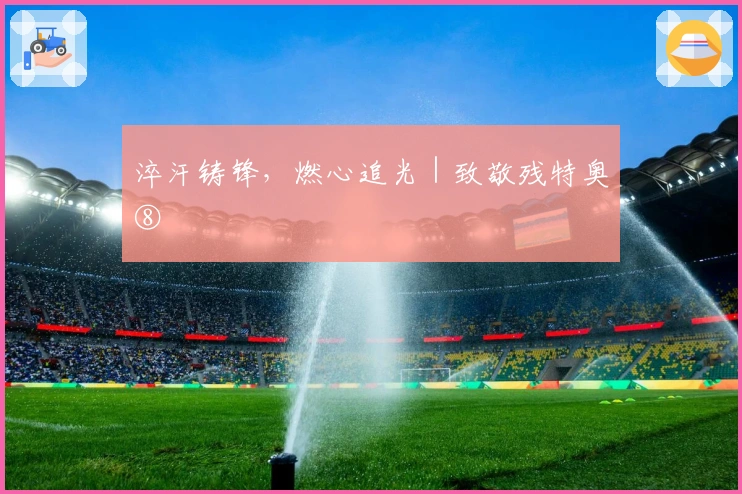 淬汗铸锋，燃心追光｜致敬残特奥⑧