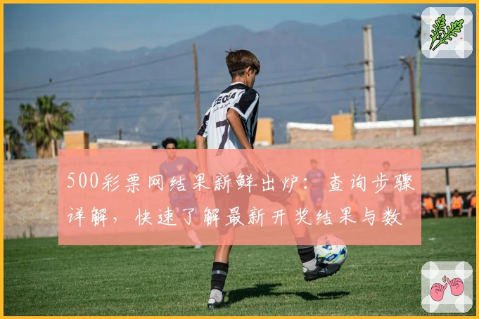 500彩票网结果新鲜出炉:查询步骤详解,快速了解最新开奖结果与数据分析技巧